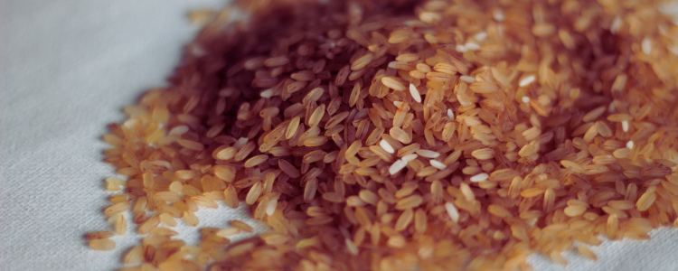 Adulteração de alimentos